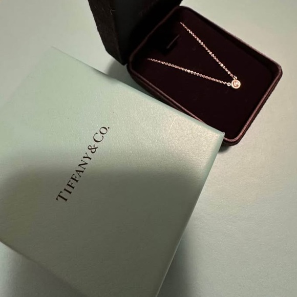 Tiffany & Co. Silver Necklace with Round Pendant - Picture 2 of 7